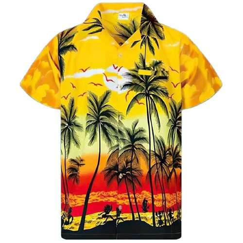 Mens hawaiian shirt 5xl - shirt,
